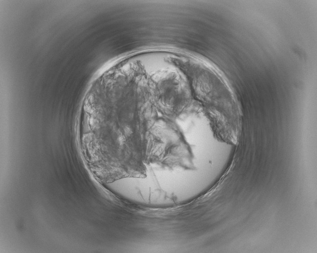 X0000115651245200912081118