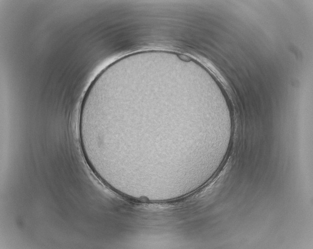 X0000115651246200912081118