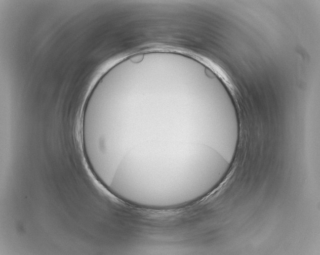 X0000115651247200912081118