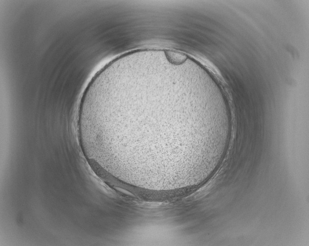 X0000115651248200912081118