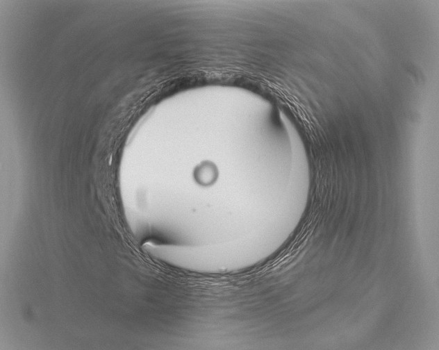 X0000115651249200912081118