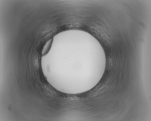 X0000115651250200912081118