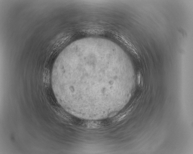 X0000115651251200912081118