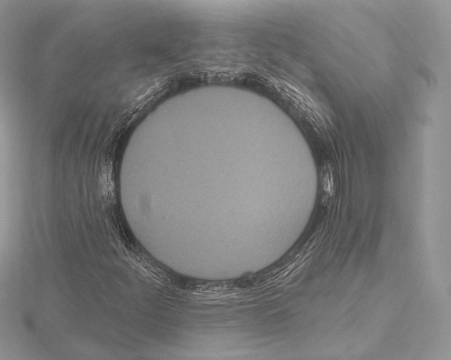 X0000115651252200912081118