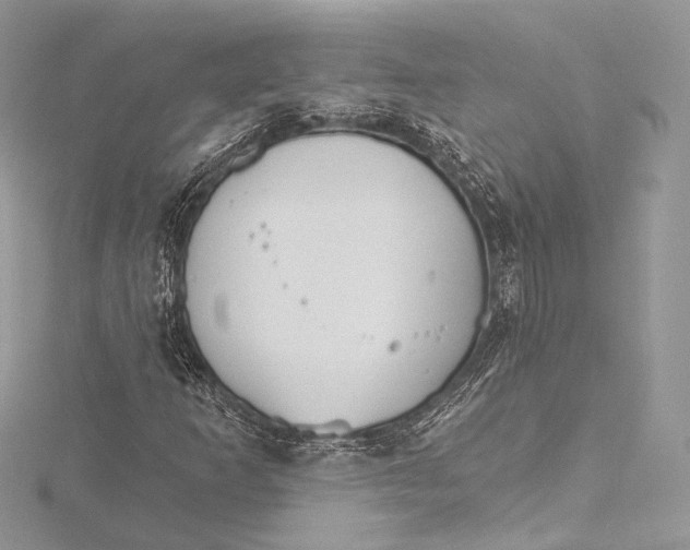 X0000115651253200912081118