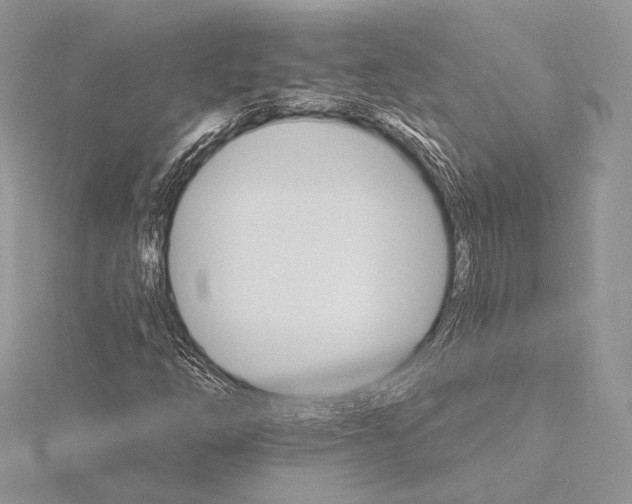 X0000115651254200912081118