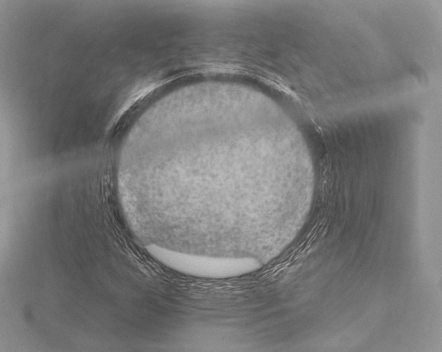 X0000115651255200912081118