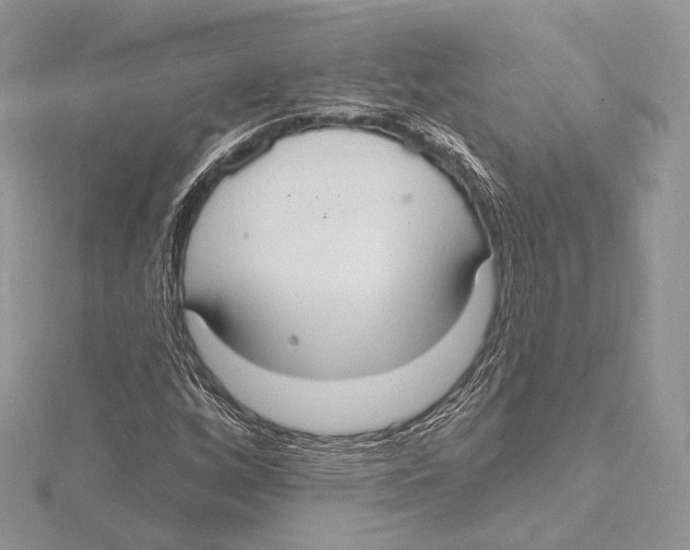 X0000115651256200912081118