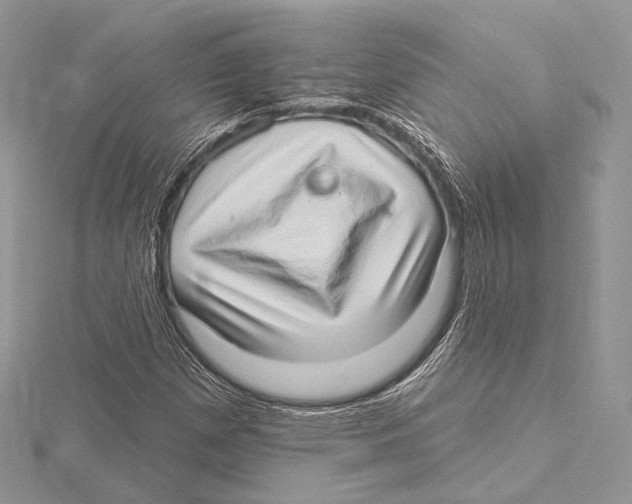 X0000115651257200912081118