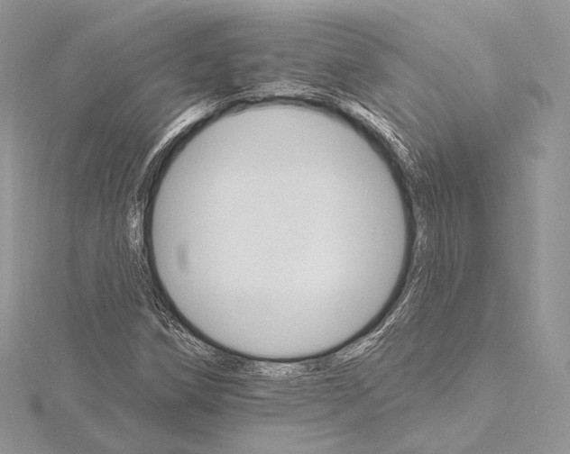 X0000115651258200912081118