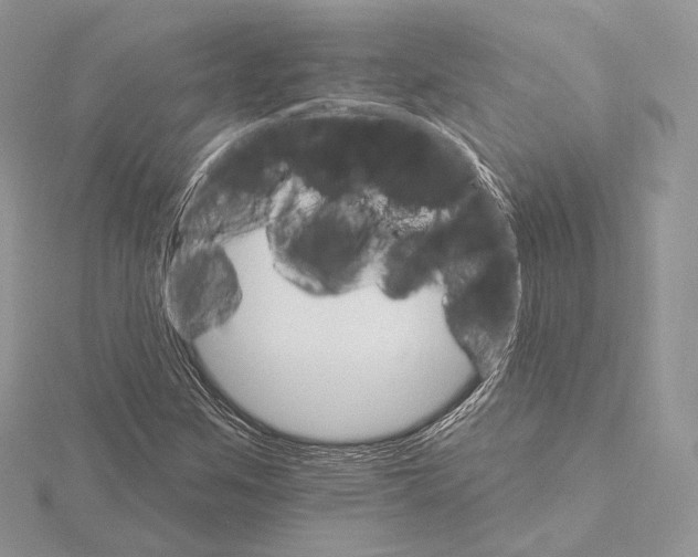 X0000115651259200912081118