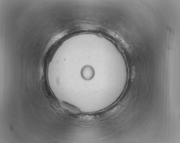 X0000115651261200912081118