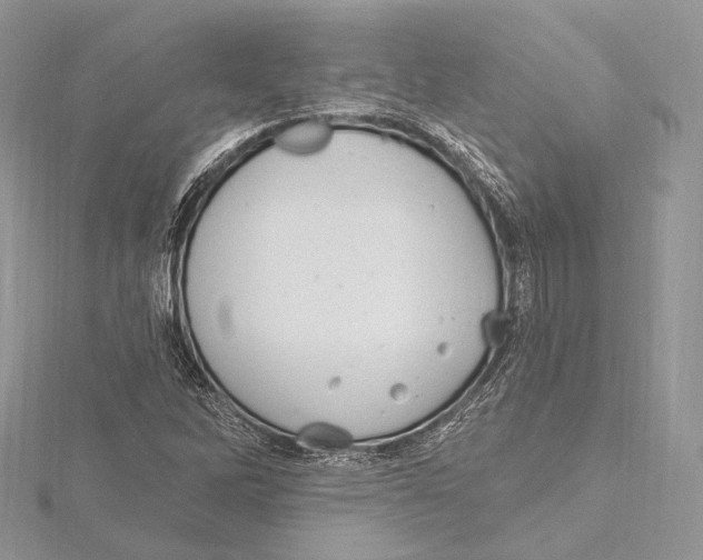 X0000115651262200912081118