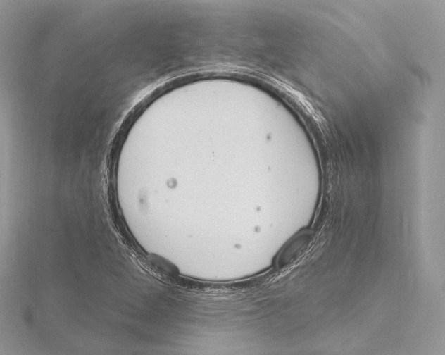 X0000115651264200912081117