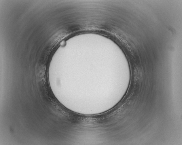 X0000115651265200912081117