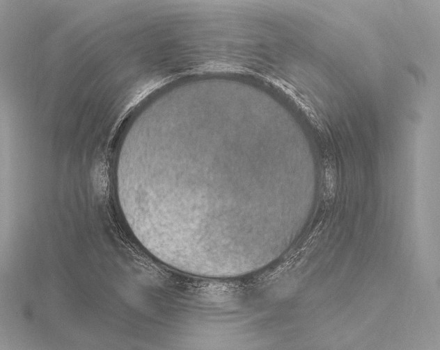 X0000115651266200912081117