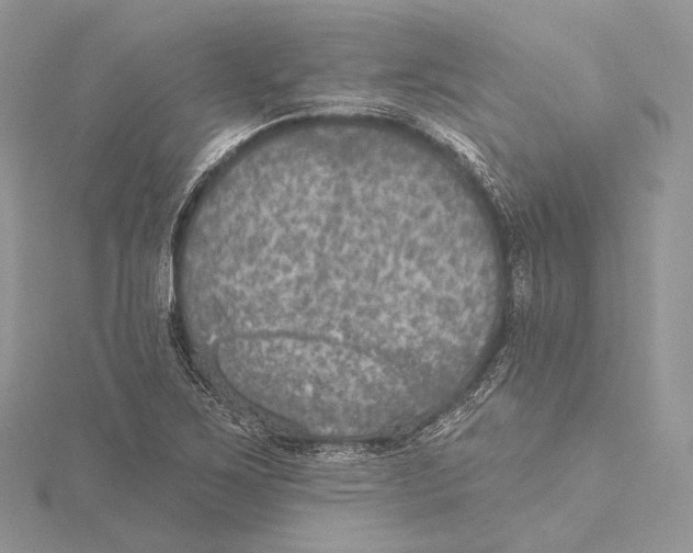 X0000115651267200912081117