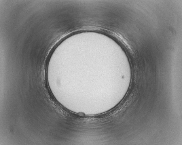 X0000115651268200912081117