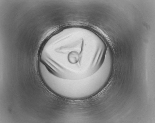 X0000115651269200912081117