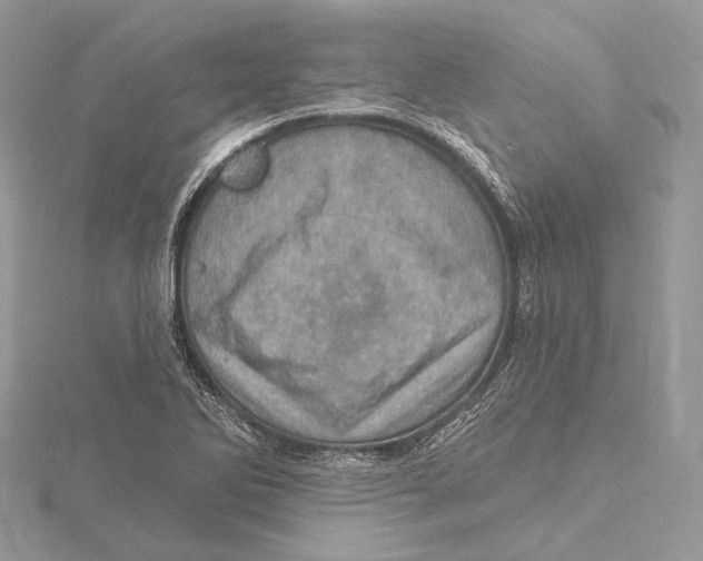 X0000115651270200912081117