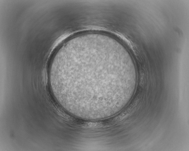 X0000115651271200912081117