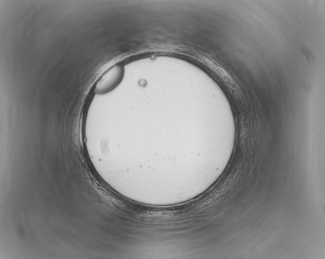 X0000115651272200912081117