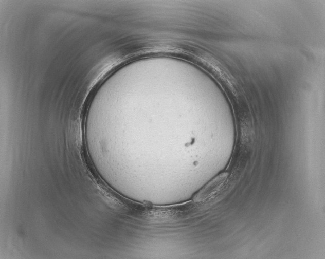 X0000115651274200912081117