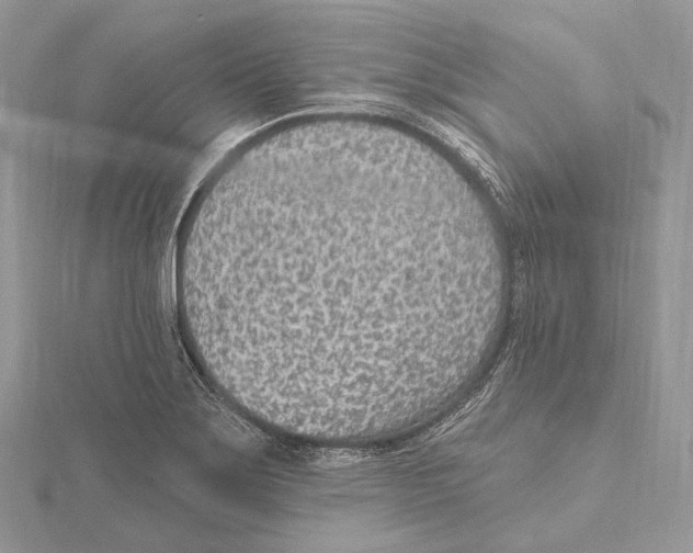 X0000115651275200912081117