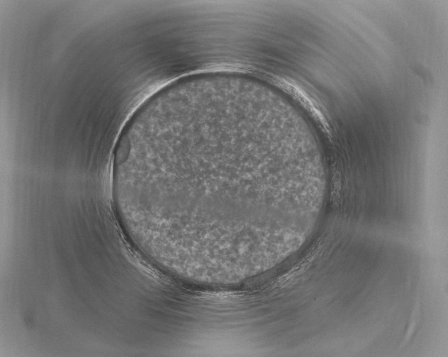 X0000115651276200912081117