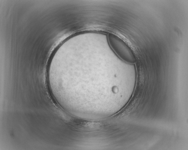 X0000115651277200912081117