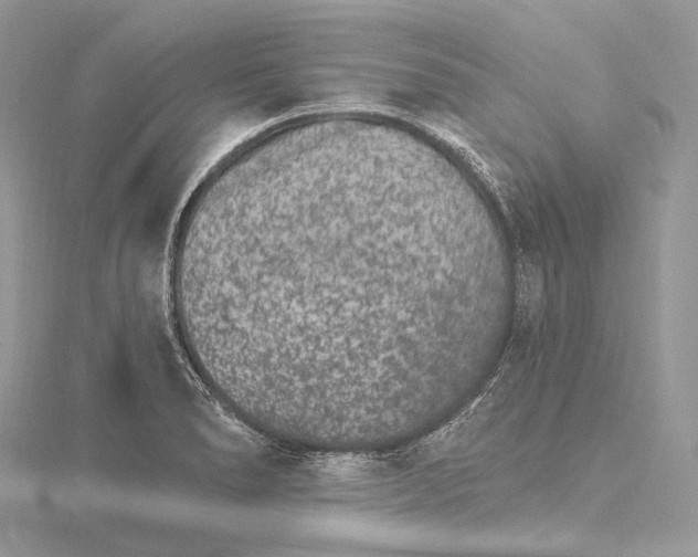 X0000115651278200912081117