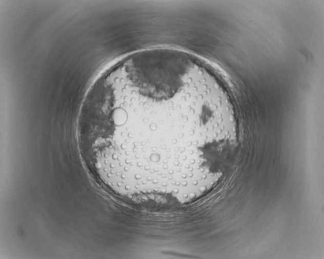 X0000115651279200912081117