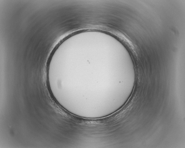 X0000115651280200912081117