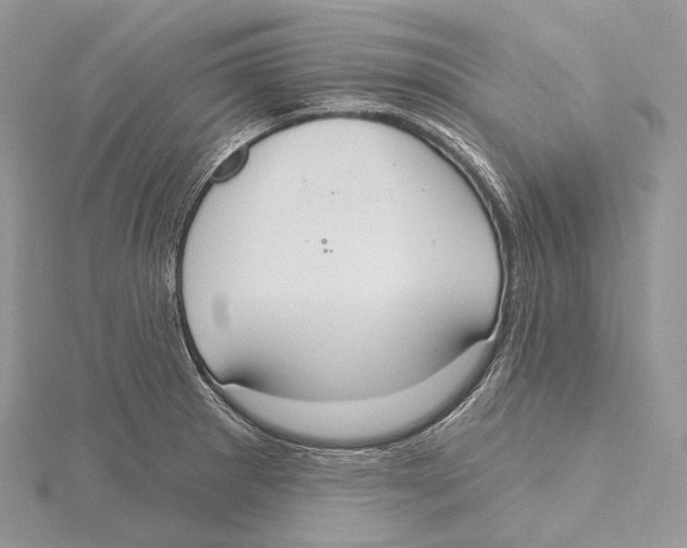 X0000115651281200912081117