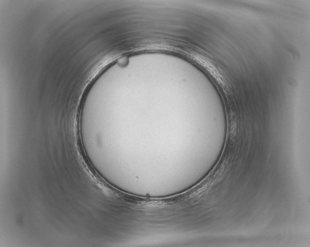 X0000115651282200912081117