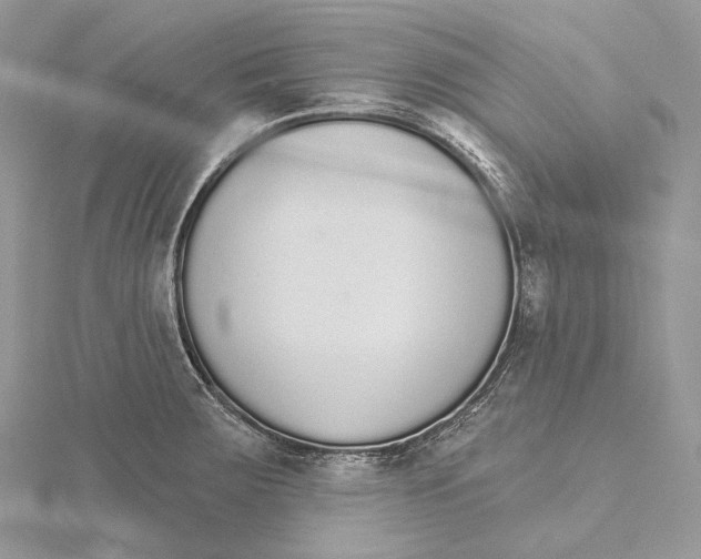 X0000115651283200912081117