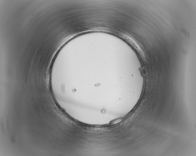 X0000115651284200912081117