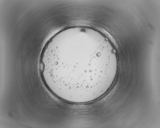 X0000115651285200912081117