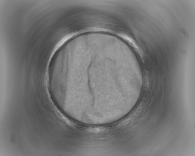 X0000115651286200912081117