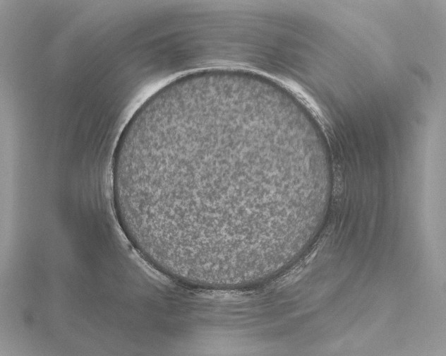 X0000115651287200912081117