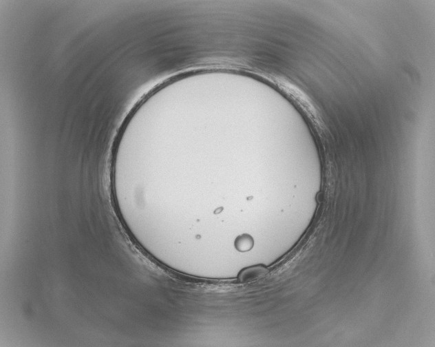 X0000115651288200912081117