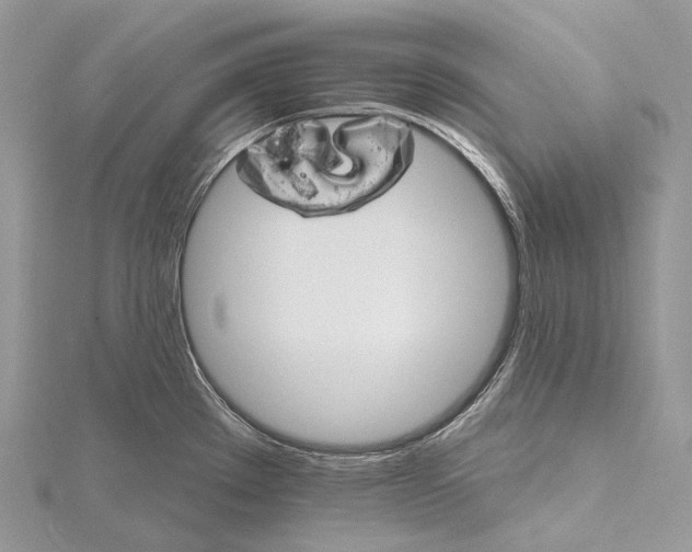 X0000115651289200912081117