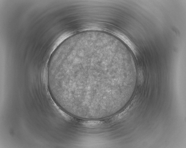 X0000115651290200912081117