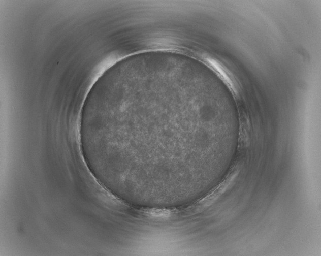 X0000115651291200912081117