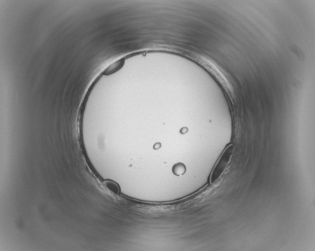 X0000115651292200912081117