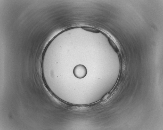 X0000115651293200912081117