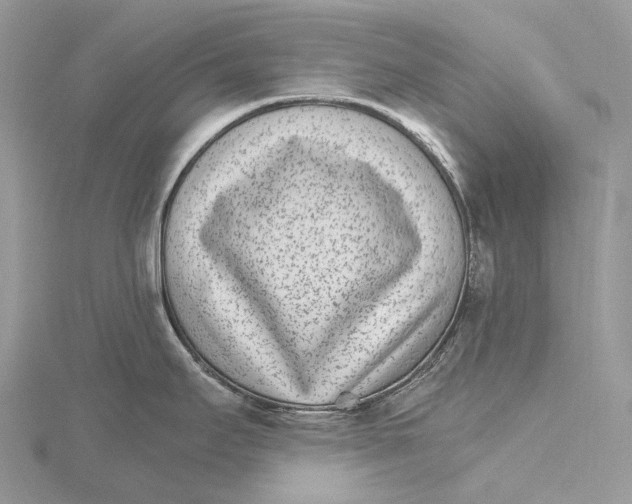 X0000115651295200912081117