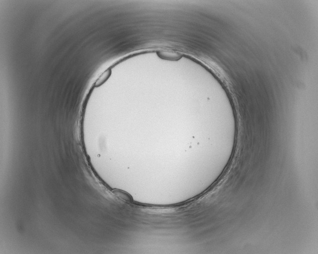 X0000115651296200912081117