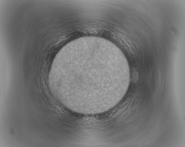 X0000115651297200912081116