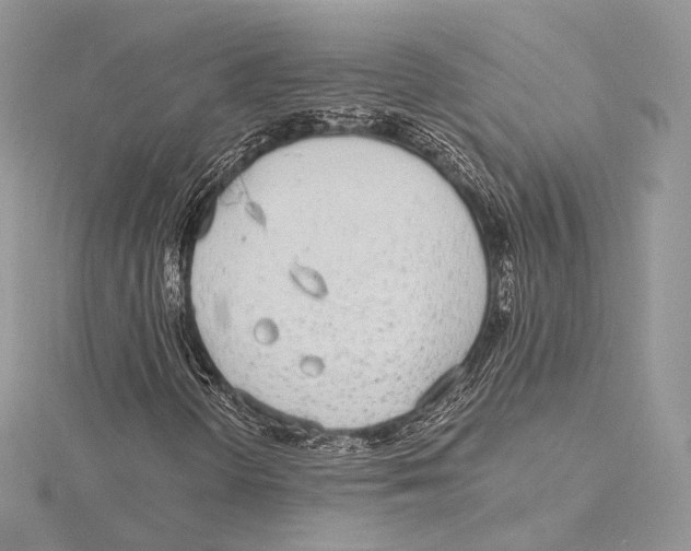 X0000115651298200912081116